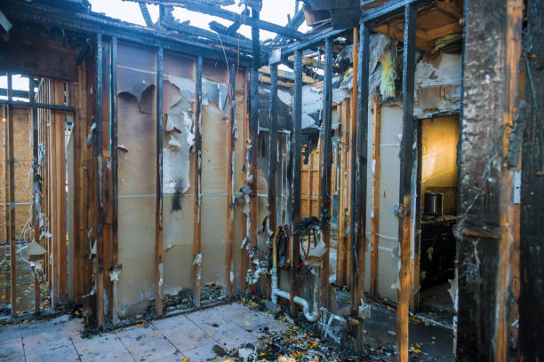 Professional Fire Damage Removal technician working in Winfield, KS